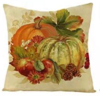 Pumpkin (1) Pillow Cover 18