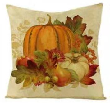 Pumpkin (2) Pillow Cover 18